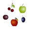Set of fruit and berries with dark red cherries, purple plum, blue prune and green and red apples isolated on a white background