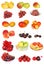 Set of fruit isolated on the white.