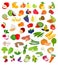 Set of fruit and vegetables illustration..Fruit and vegetable icons