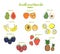 Set of fruits and berries. Papaya,avocado,banana,lemon and others