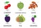 Set of fruits. Different colorful fruits. Fresh food, healthy eating concept.