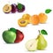 Set of fruits - plum, apricot, apple and pear