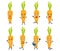 Set of funny carrot vegetable cartoon character