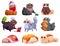 Set of funny cats cartoon characters, home pets