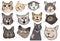 Set of funny cats. Collection of portraits of crooked cats. Cat head cartoon. Vector illustration of pets.