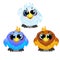 Set of funny colorful animated birds with big trusting eyes isolated on white background. Elements to create images in