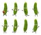 Set of funny cucumber vegetable cartoon character