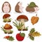 Set with funny curious hedgehogs with a red apple and an autumn leaf, and a wreath of autumn leaves, acorns and berries.