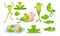 Set Funny Frogs Cartoon Characters, Isolated Personages Sitting on Water Lily, Fry and Adult Animals. Cute Toads Living