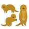 Set of funny Gopher ground squirrel isolated with acorn on white background. Vector