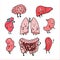 Set of funny human organs with cute smiling faces