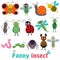 Set of with funny insect