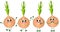 Set of funny onion in different positions