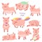 Set of Funny Piggy symbol 2019 new year. Piglet smiles, sits, lies, eats porridge, sleeps, pig unicorn.