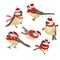 Set of Funny realistic vector Tits and bird feeder on white background. Vector Christmas image. For Christmas decoration, posters