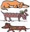 Set of funny slim dogs