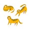 Set of funny tigers. Lying, walking and lasting. Vector decor element for kids t-shirt design. Isolated animals