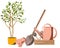 A set of gardening tools and a small potted tree