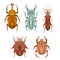 Set of geometric insects with poly decorations. Vector geometrical stag beetle, flying ant, ladybug, bedbug in retro colors