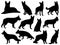 Set of German Shepherd dog silhouette vector art