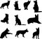 Set of German shepherd silhouettes in various poses, black on a transparent background