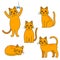 Set of ginger cats in a linear cartoon style. the cat lies, plays, sleeps, sits and stands