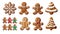 set of gingerbread cookies with the shape of a man, a snowflake and a Christmas tree with white icing on transparent. Christmas