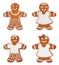 Set gingerbreads boys and girls - Christmas sweet cookies