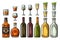 Set glass and bottle whiskey, wine, tequila, cognac, champagne. Vector engraving