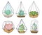 Set of Glass Florarium Vases with Succulent Plants, Small Gardens with Miniature Succulent . Home Indoor Diy Containers