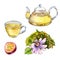 Set of glass teapot and cup, passion flower, fruit watercolor illustration isolated on white.