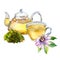 Set of glass teapot and cup, passion flower, stem watercolor illustration isolated on white.