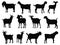Set of Goats silhouette vector art