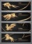 Set of Gold animal banners