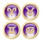 Set of the Golden Zodiac Signs