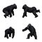 Set of gorilla in different movements on white background