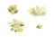Set of granulate textured yellow watercolor stains