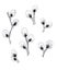 Set of graphic black and white pattern of a sprig of flowering willow on a white background