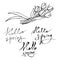 A set of graphic inscriptions `hello, spring` with a bouquet of tulips.