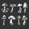 Set of graphic mushrooms