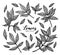 A set of graphic peony leaves. Detailed vector illustration of hand drawn leaf. Elements for the design of greeting