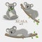 Set of gray koalas on a light background