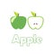 Set of Green apple with stem and leaf.  Element of education illustration. Healthy vegetarian food.