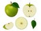 Set of green apples of different shapes, whole, slice, cut in half, top and side view, leaf.