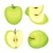 Set of green apples. Vector illustration on white background.