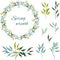 Set of green floral patterns, ornaments and vector wreaths of green olive leaves and vectors for decoration. The concept of spring