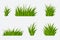 Set of green grass. Grass bushes of different shapes. Hand drawn grass. Green grass. Vector illustration