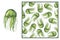 Set - green jellyfish, silhouette on a white background and a seamless pattern in a frame. Marine inhabitants. For the