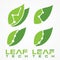 Set green leaf technology vector icon with letter leaf tech