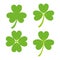 Set of Green Shamrock Symbols Vector